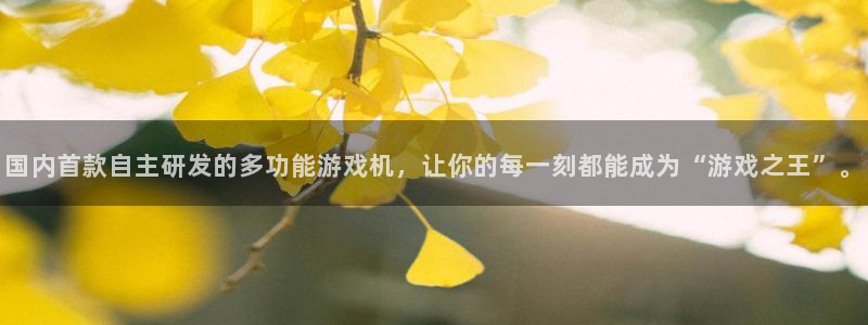 亿万28电子商务有限公司地址：国内首款自主研发的多功能游戏机，让你的每一刻都能成为“游戏之王”。