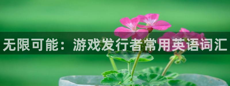 亿万28集团有限公司：无限可能：游戏发行者常用英语词汇