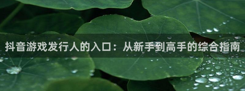 亿万28官网注册登录不了：抖音游戏发行人的入口：从新手到高手的综合指南