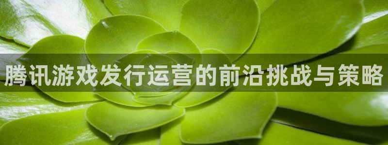 亿万28集团董事长刘一辰简历：腾讯游戏发行运营的前沿挑战与策略
