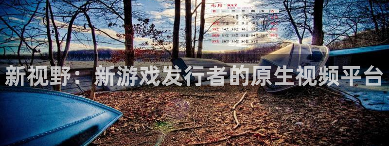 亿万28科技股票：新视野：新游戏发行者的原生视频平台