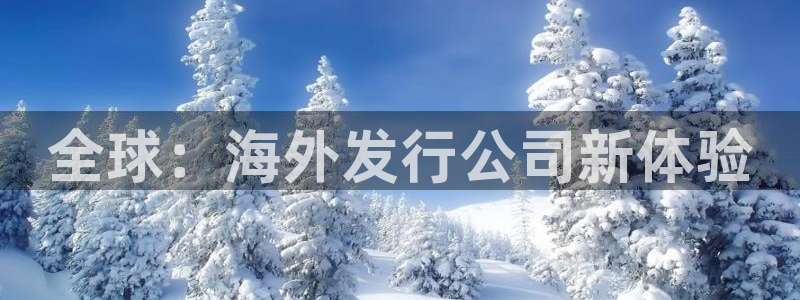 亿万28子股价：全球：海外发行公司新体验