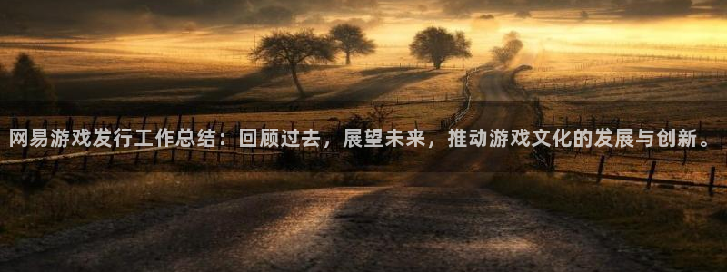 亿万28商标：网易游戏发行工作总结：回顾过去，展望未来，推动游戏文化的发展与创新。