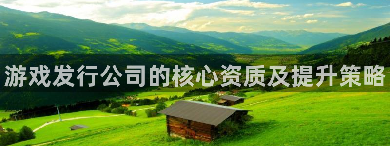 亿万28官网注册地址查询：游戏发行公司的核心资质及提升策略
