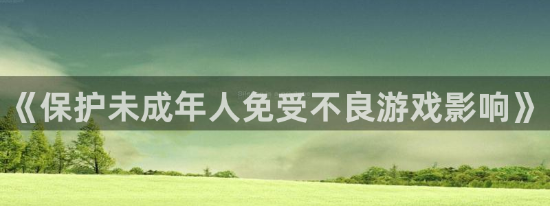亿万28集团有限公司：《保护未成年人免受不良游戏影响》