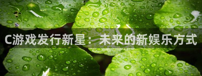 亿万28官网注册平台官网登录：C游戏发行新星：未来的新娱乐方式