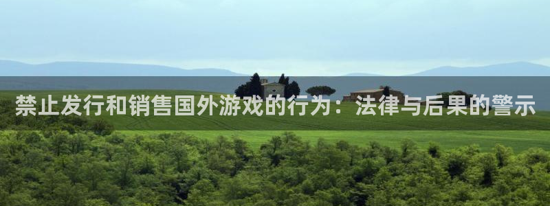 亿万28电子商务有限公司电话：禁止发行和销售国外游戏的行为：法律与后果的警示