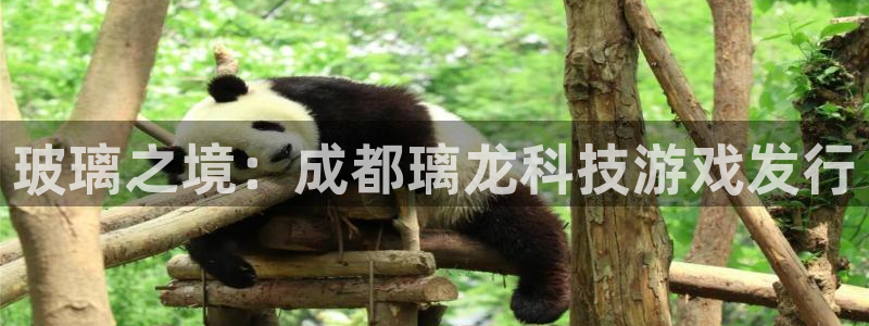 亿万28官网主营业务