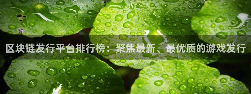 亿万28多少钱：区块链发行平台排行榜：聚焦最新、最优质的游戏发行