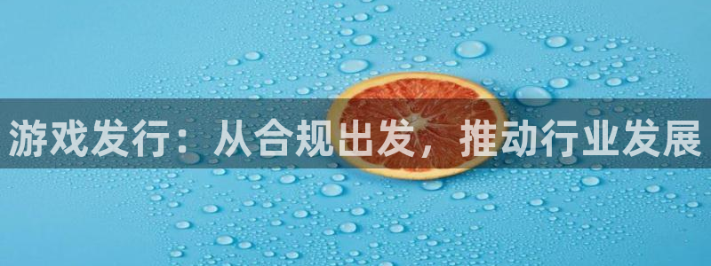 亿万28官网挂机项目怎么样啊：游戏发行：从合规出发，推动行业发展