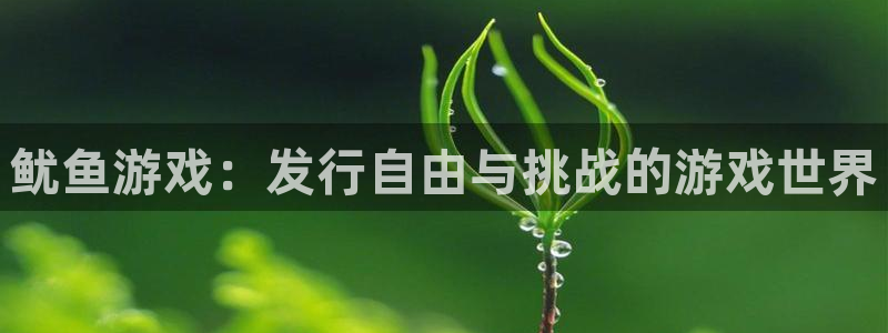 亿万28官网官网注册账号是什么：鱿鱼游戏：发行自由与挑战的游戏世界