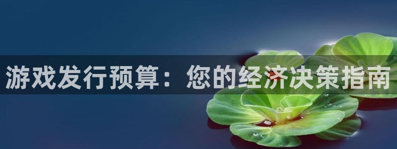 亿万28官网登录注册账号密码：游戏发行预算：您的经济决策指南