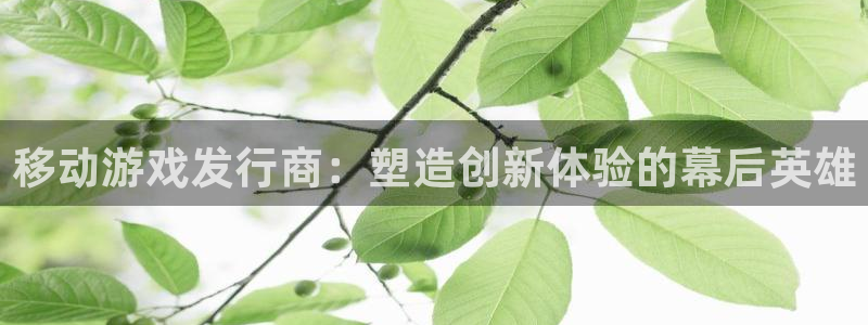 亿万28官网的奇趣腾讯是真的吗吗：移动游戏发行商：塑造创新体验的幕后英雄