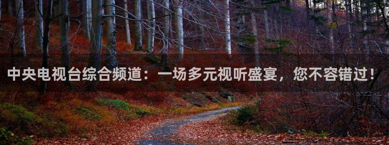nba视频直播无插件看球吧：中央电视台综合频道：一场多元视听盛宴，您不容错过！