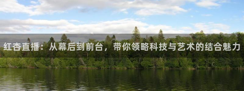 nba视频直播无插件看球吧：红杏直播：从幕后到前台，带你领略科技与艺术的结合魅力