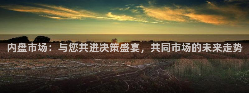 看球吧：内盘市场：与您共进决策盛宴，共同市场的未来走势