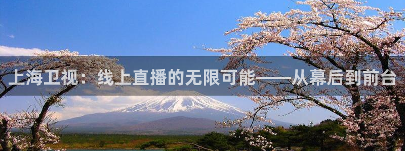 看球吧直播在线入口：上海卫视：线上直播的无限可能——从幕后到前台