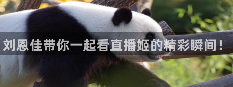 nba视频直播无插件看球吧：刘恩佳带你一起看直播姬的精彩瞬间！
