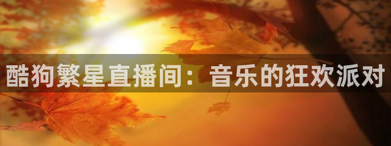 360免费直播超清 看球吧：酷狗繁星直播间：音乐的狂欢派对