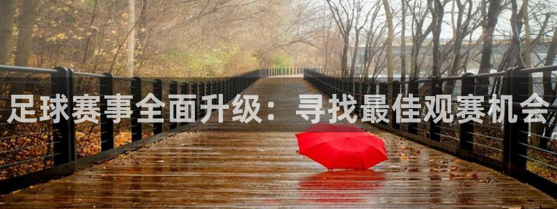 看球吧中超直播：足球赛事全面升级：寻找最佳观赛机会
