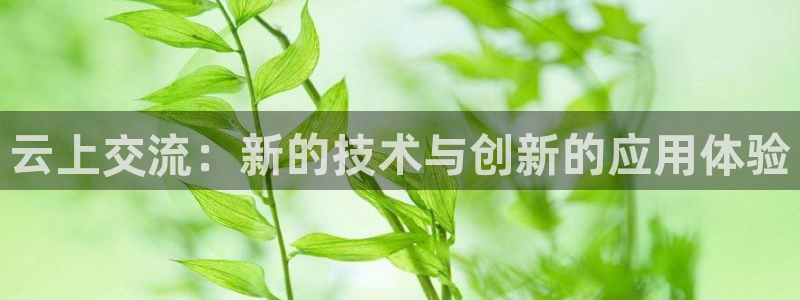 nba视频直播无插件看球吧：云上交流：新的技术与创新的应用体验