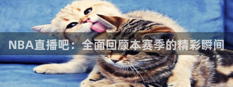 看球吧体育直播平台
