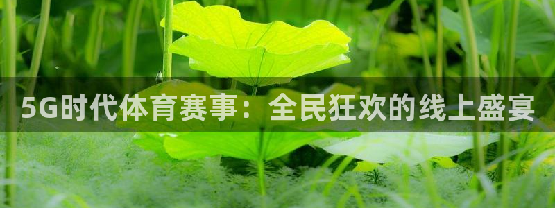 足球直播看球吧：5G时代体育赛事：全民狂欢的线上盛宴